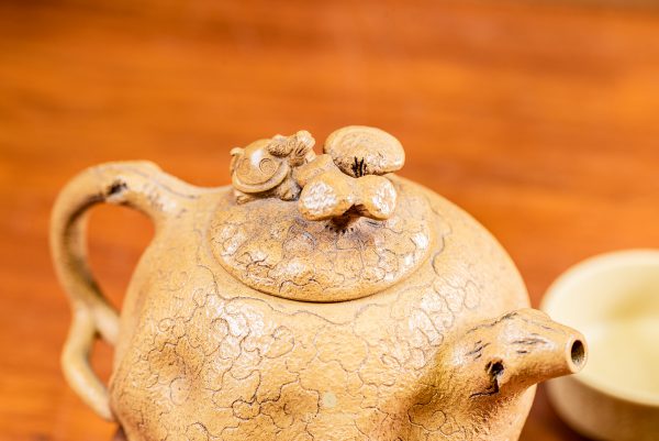 Dáng Ấm: Cung Xuân