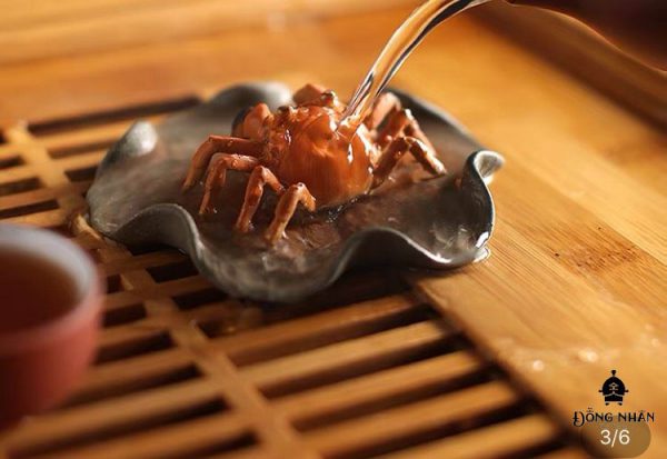 Cua Đổi Màu