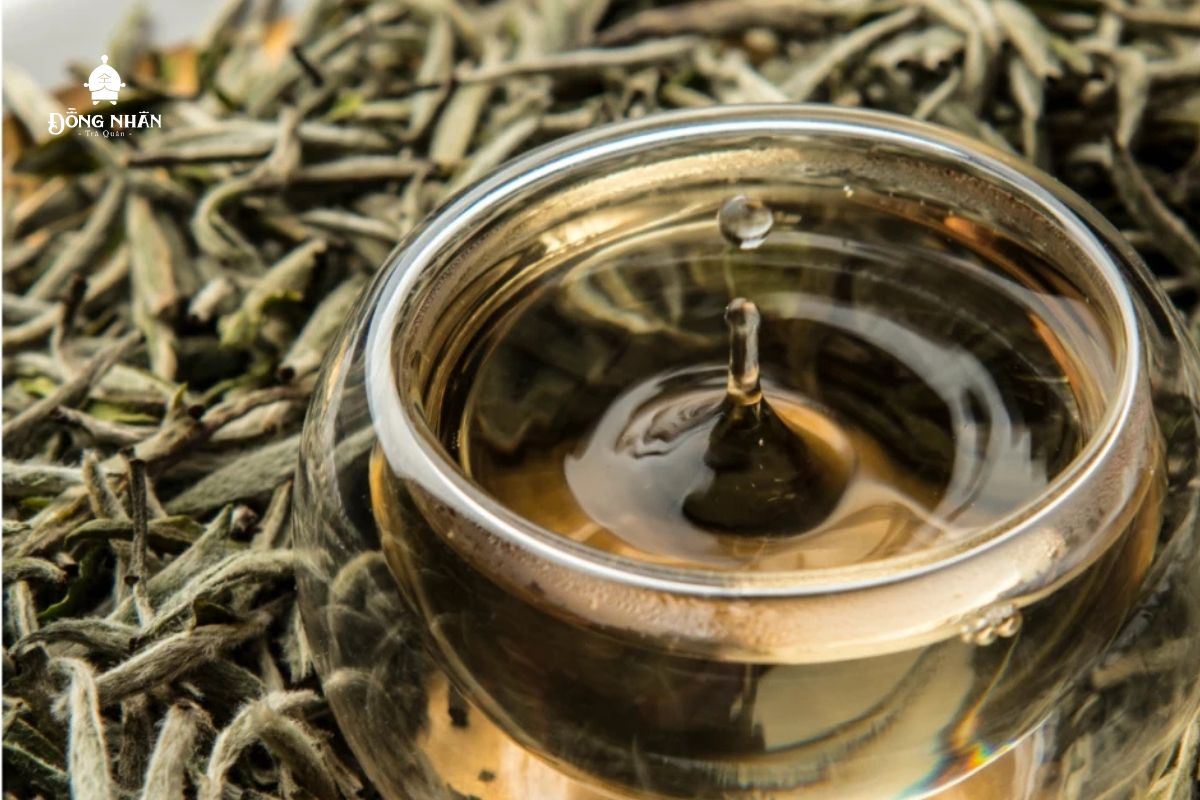 TÍNH CHẤT VÀ CÔNG DỤNG CỦA 6 LOẠI TRÀ CHÍNH