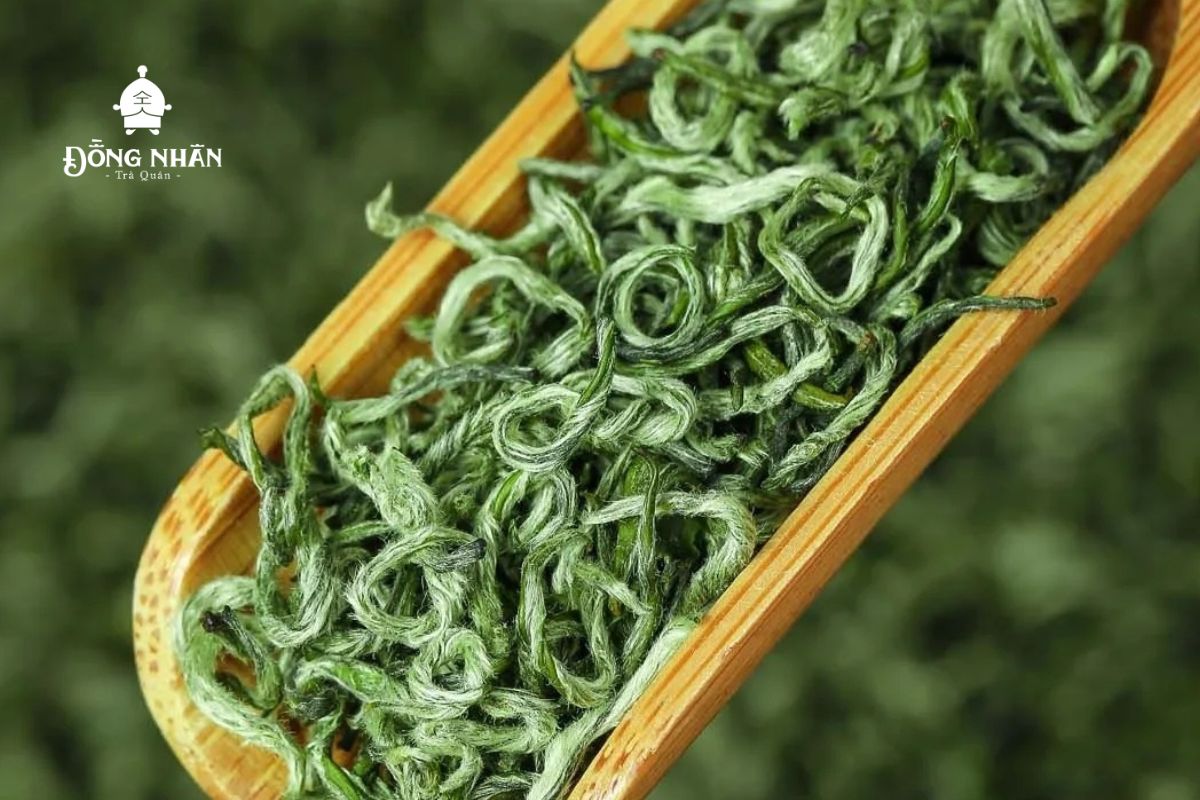 TRÀ BÍCH LOA XUÂN - NGUỒN GỐC TÊN GỌI VÀ QUY TRÌNH SẢN XUẤT