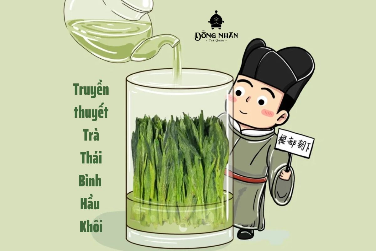 TRÀ THÁI BÌNH HẦU KHÔI - LỊCH SỬ VÀ TRUYỀN THUYẾT LY KỲ