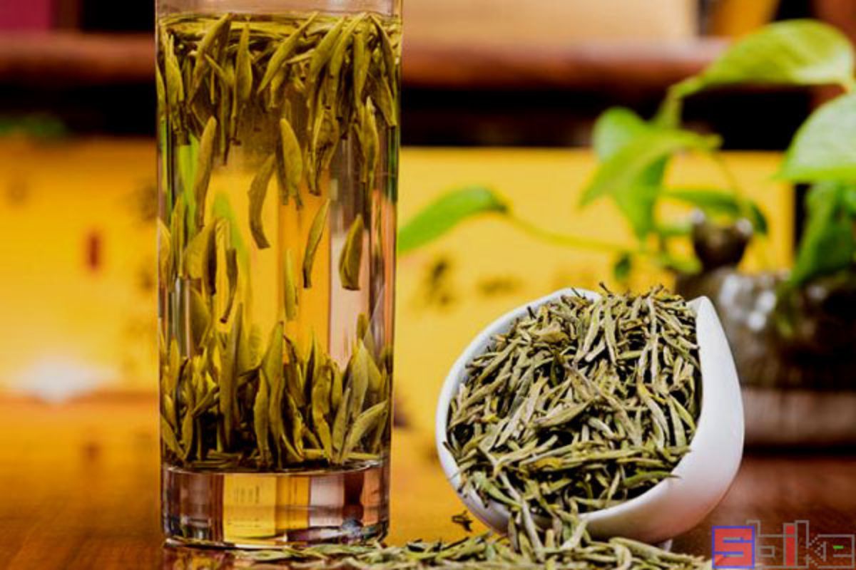 Pha Bạch Hào Ngân Châm bằng ly thủy tinh
