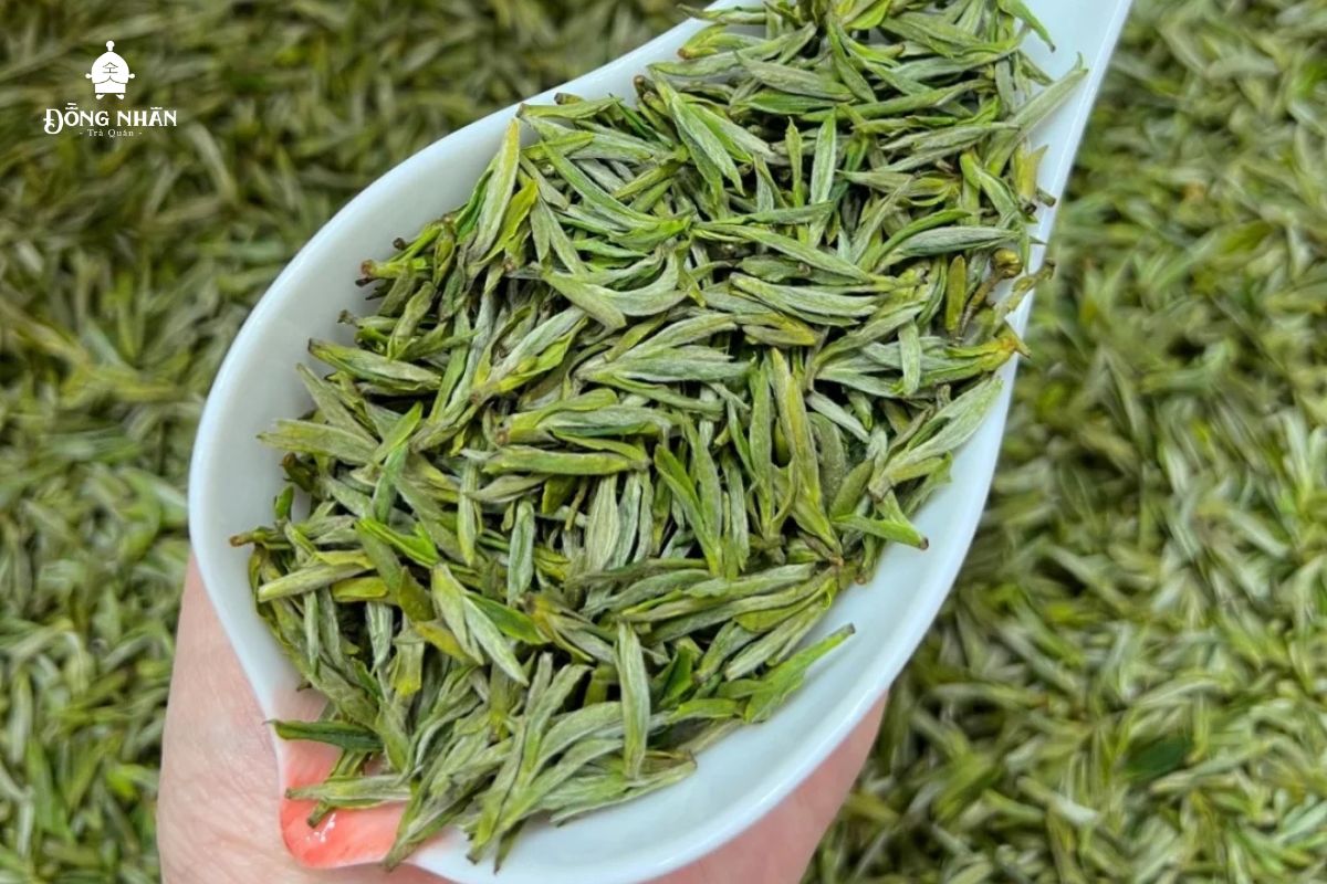 TRÀ HOÀNG SƠN MAO PHONG - PHÂN LOẠI ĐẲNG CẤP TRÀ VÀ CÁCH BẢO QUẢN