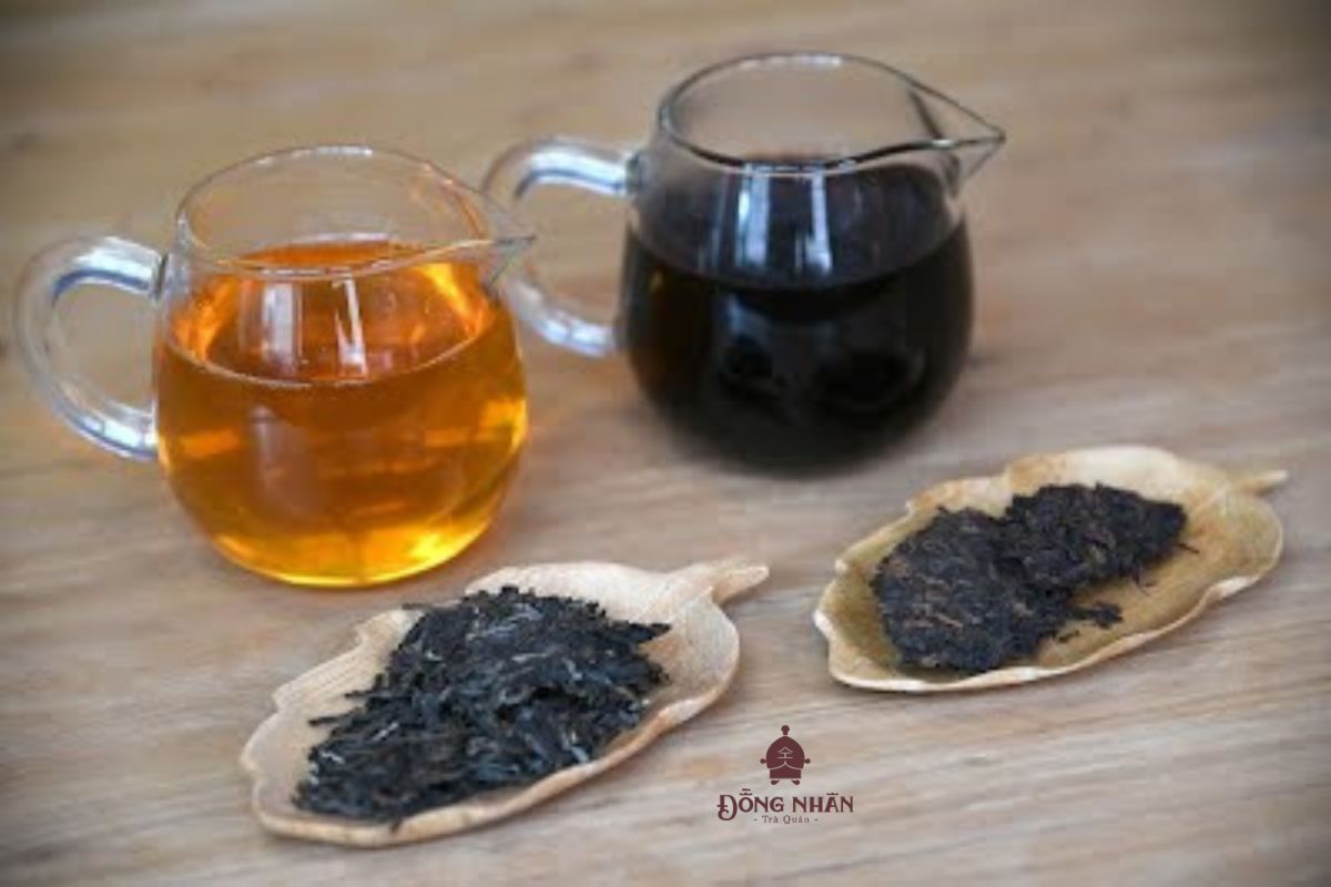 SỰ KHÁC BIỆT GIỮA TRÀ PHỔ NHĨ SỐNG VÀ TRÀ PHỔ NHĨ CHÍN LÀ GÌ?
